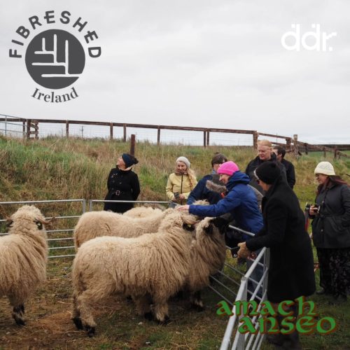 Amach-Anseo-Fibreshed-Ireland-DDR