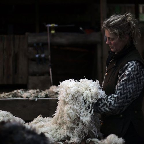Fibershed-Reconnecting-Fashion-to-Farming
