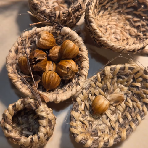 How-to-Grow-Flax-at-Home-by-Amanda-Haran